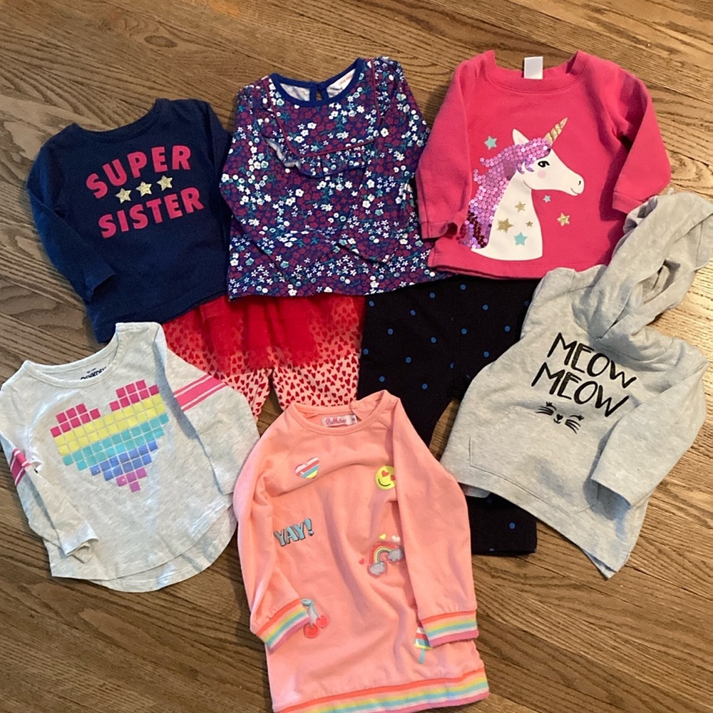6-12 month winter lot. 1 dress, 2 sweaters, 3 long sleeve shirts and 2 pants.